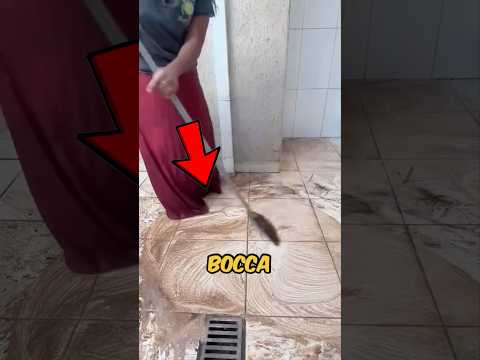 HA PROVATO A PULIRE TUTTA CASA IN 30 MINUTI MA POI…? #virale #divertente thumbnail