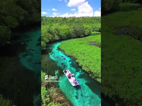 Brazil's Nature is Out of This World thumbnail
