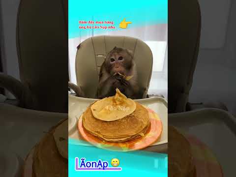 Bánh xếp hay bánh xèo ? #laonap thumbnail