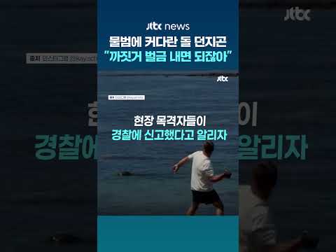 물범에 머리만 한 돌 던지곤 "까짓거 벌금 내면 되잖아"...하와이서 난동 부린 관광객 #JTBC #Shorts thumbnail
