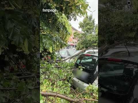 Tromba d’Aria colpisce Roma, alberi caduti e vetri in frantumi a Montesacro: bloccata via dei Prati thumbnail