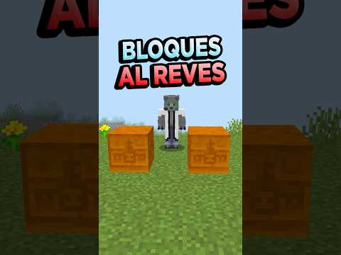 🙃Bloques DINNERBONE thumbnail
