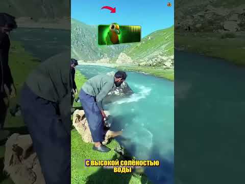 @27_crew ПОЧЕМУ ОНИ ДЕЛАЮТ ЭТО thumbnail