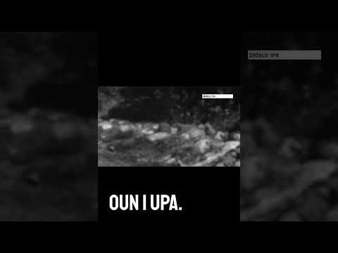 Tusk i spór o historię  Ukraina, OUN UPA i polityczne emocje thumbnail