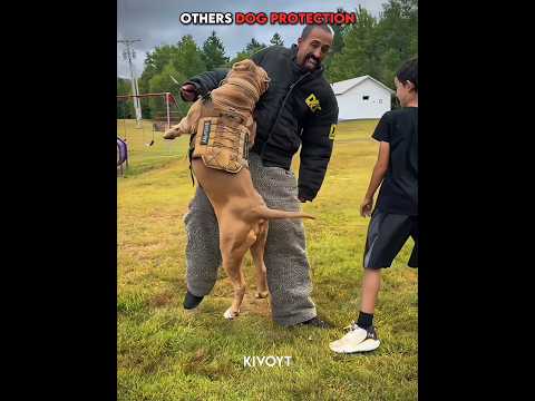 Others Dog Protection vs Last One 💀 #edit #usa #dog thumbnail