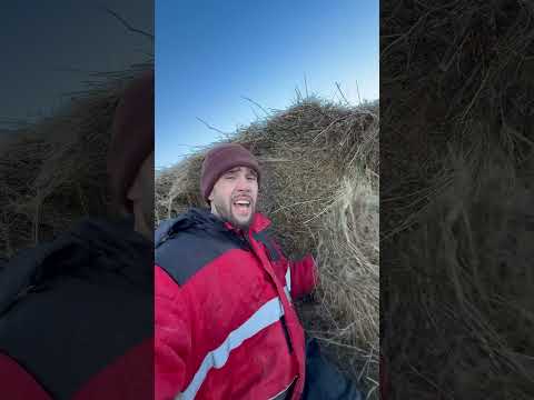 Извините, я не удержался 😁 thumbnail