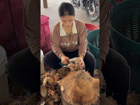 Thai Woman Peels Dry Coconut - Fruit Cutting Skills thumbnail