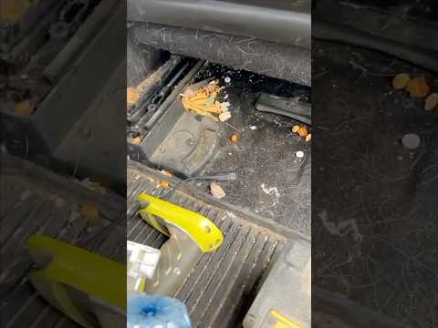 Detailing a RARE Ford Raptor! thumbnail