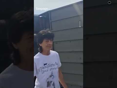 Si ribalta un camion carico di maiali nel Reggiano: animali a zonzo. L'intervento dei carabinieri, r thumbnail