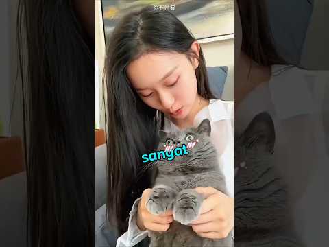 Saat Kucing Bertemu Manusia Kembar😭#shorts thumbnail