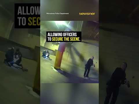 Hero Police Dog Captures Armed Robbers on the Run thumbnail