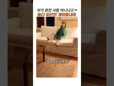 놀다가 넘피곤한 사람같은 개아들내미#웃긴동물#이탈리안 그레이하운드 #댕댕이 #대형견 #사람같은 개 thumbnail