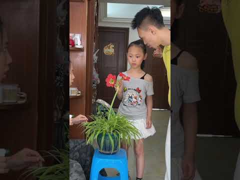 My daughter plays such beautiful melodies with this little potted flower thumbnail