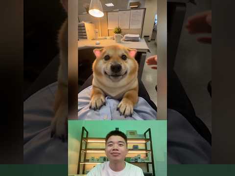 What The Dog Doing P200: PiPi LaBu Tai Phát Sáng. thumbnail