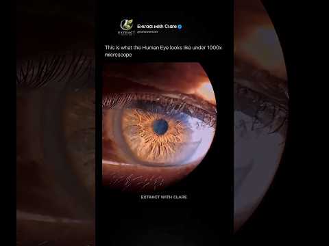 Human Eye Under 1000x Microscope 👁️🔬 thumbnail