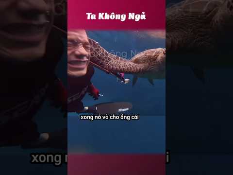 Mấy cái đứa kute 😍 #takhongngu thumbnail