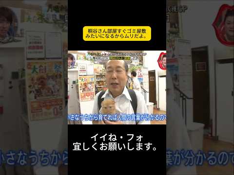 桐谷さん部屋すぐゴミ屋敷みたいになるからムリだよ。#月曜から夜ふかし #マツコ・デラックス#マツコ #デラックス thumbnail