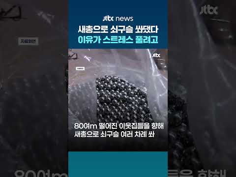 스트레스 풀려고…부산에서 새총으로 이웃집에 쇠구슬 쏜 60대 검거 #JTBC #Shorts thumbnail