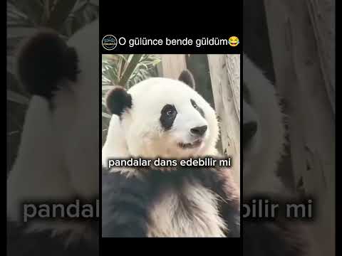 günün pozitif videosu? thumbnail