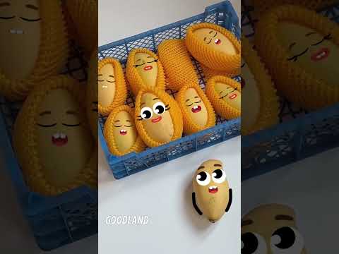 Goodland | Doodle mangoes ? #goodland #shorts #doodles #doodlesart thumbnail