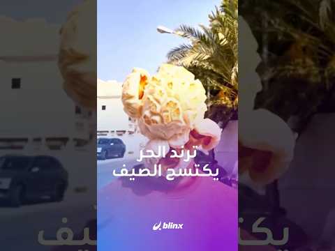 فقع رأسه كحبة Popcorn!.. هكذا شارك مؤثرون معاناتهم من ارتفاع درجات الحرارة thumbnail
