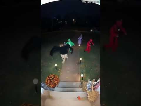 They came for candy… met a spider-dog instead!🕷️🐶 #shorts thumbnail