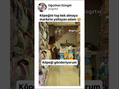 Sahibi tarafından markete gönderilen köpek thumbnail