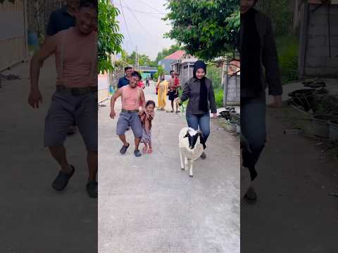 Mau anterin kambing, tapi emak ketakutan🤣 #shorts #qiyas thumbnail