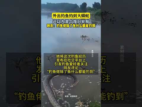 外出釣魚釣到大蟒蛇 還以為是個廢舊輪胎 網友：釣魚者除了魚什麼都能釣到 thumbnail