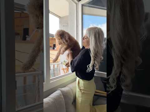 hayvanlara zarar vermemeliyiz☺️ thumbnail