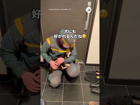 宅配のお兄さんと会って3回目でこの懐きよう｜PECO thumbnail
