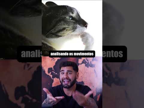 Campeonato de Limpar Janela thumbnail