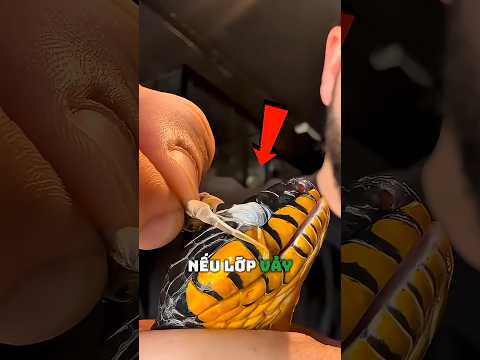 Điều nguy hiểm nhất khi rắn lột da là đôi mắt thumbnail