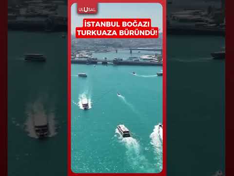 İstanbul Boğazı turkuaz rengine büründü! #shorts #keşfet #istanbul thumbnail