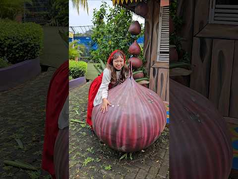 bawang merah nemu kembaranya #trendingshorts thumbnail