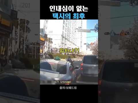 배달기사와의 기싸움에서 패배한 택시 thumbnail
