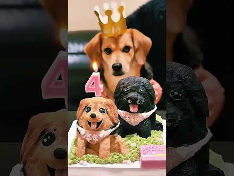 🎂🐶 قصة الكلب الوفي التي أبكت الجميع 😢🖤 thumbnail