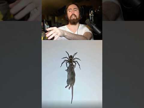 This Has To Be Fake… thumbnail