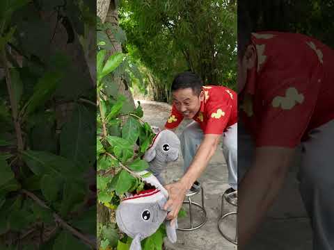 Đừng Sợ Tôi Sẽ Giúp Bạn Tìm Giày Vượt Dung Nham #haongchu thumbnail