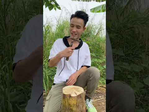 小风偷跑出去排除万难竟然是为了……#shorts #funny #搞笑 thumbnail