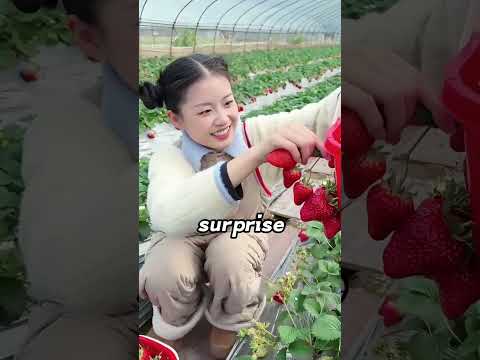 She always finds a way! thumbnail