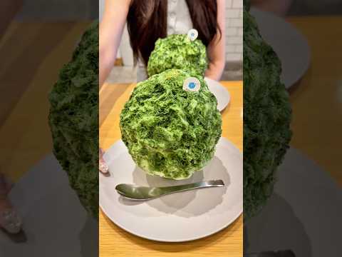 후쿠오카에서 말차 빙수를 주문하면 생기는 일 thumbnail