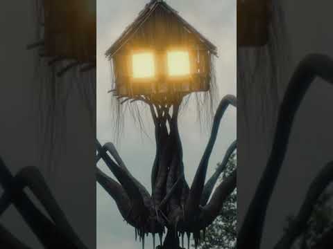 Inside House Head #shorts thumbnail