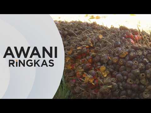 AWANI Ringkas: Biodiesel B15 bermula esok thumbnail