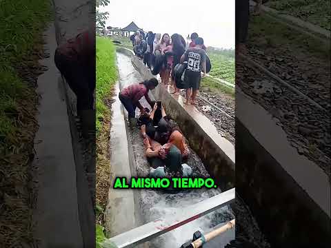 Nunca Habías Visto Un Tobogán Acuático Así 😱 #shorts thumbnail