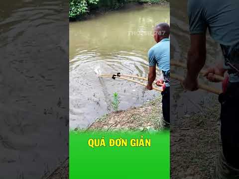 Cách bắt tôm cá khô chân của bác nông dân thumbnail