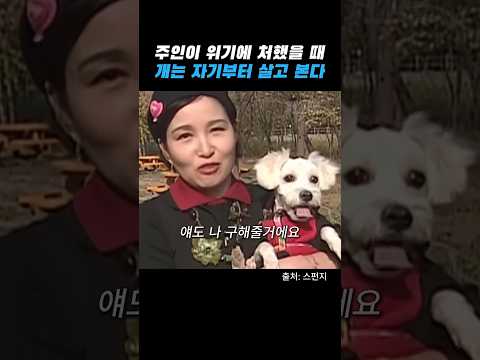 저 보고 주인님을 지키라고요? thumbnail