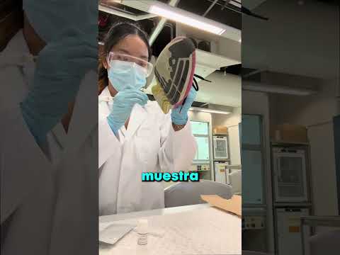 Cómo la ciencia forense realmente resuelve crímenes ?? thumbnail