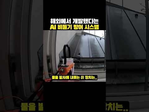 해외에서 ‘개발했다는’ AI 비둘기 방어 시스템?ㅋㅋㅋ thumbnail