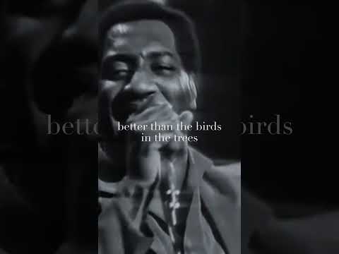 Otis Redding – My Girl | 1967 Norway Rendition Acapella 🎤 #Voceux #vocals #vocalsonly thumbnail